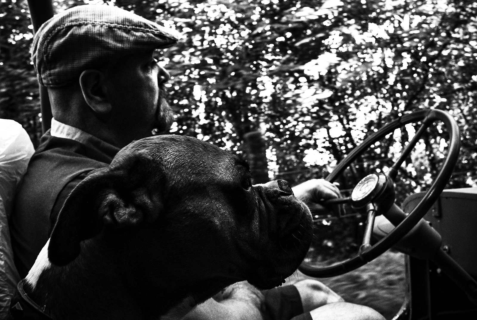 Un homme au volant de sa jeep et son chien assis à côté de lui, vu de profil. Photo en noir et blanc. Crédit : Anthony M. Photographe