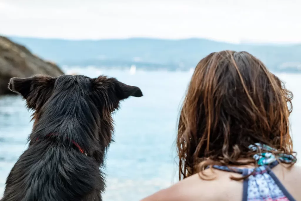 Chien et sa maitresse face à la mer